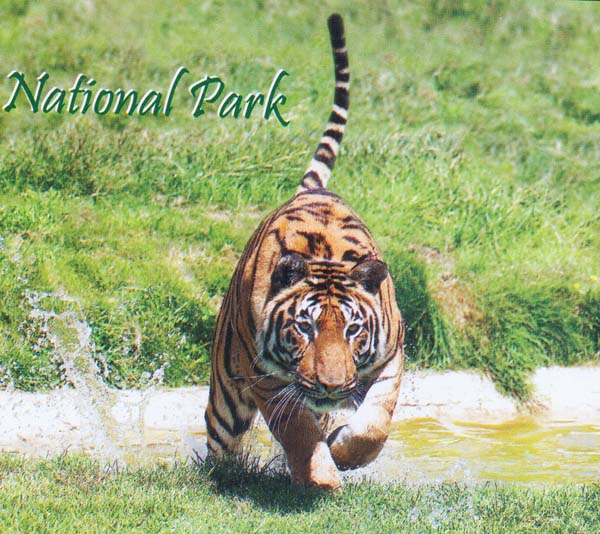 Bardia National Park